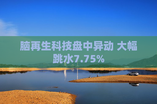 脑再生科技盘中异动 大幅跳水7.75%