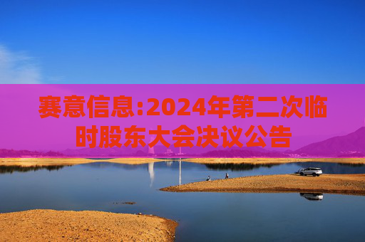 赛意信息:2024年第二次临时股东大会决议公告