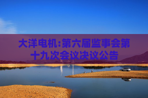 大洋电机:第六届监事会第十九次会议决议公告
