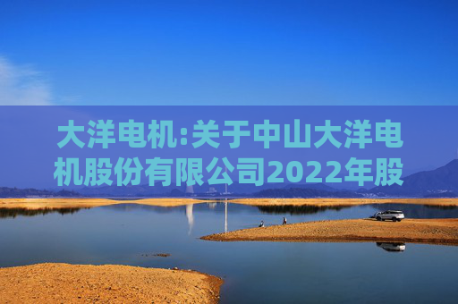 大洋电机:关于中山大洋电机股份有限公司2022年股票期权激励计划调整行权价格相关事项的法律意见书