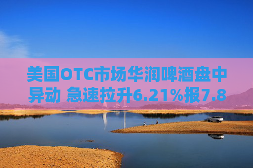 美国OTC市场华润啤酒盘中异动 急速拉升6.21%报7.87美元
