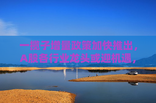 一揽子增量政策加快推出，A股各行业龙头或迎机遇，A50ETF华宝（159596）半日成交额超7300万