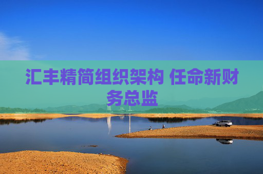 汇丰精简组织架构 任命新财务总监