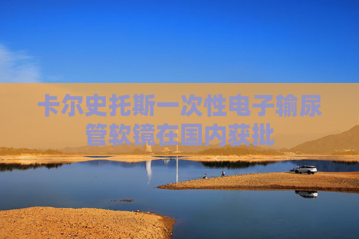 卡尔史托斯一次性电子输尿管软镜在国内获批