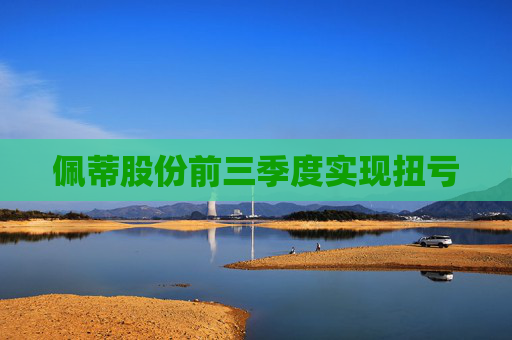 佩蒂股份前三季度实现扭亏