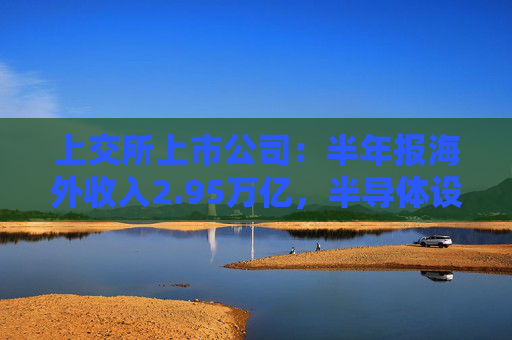 上交所上市公司:半年报海外收入2.95万亿,半导体设备技术突破
