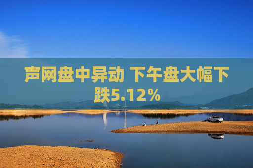 声网盘中异动 下午盘大幅下跌5.12%