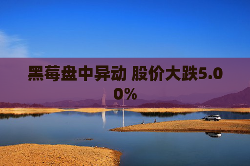 黑莓盘中异动 股价大跌5.00%
