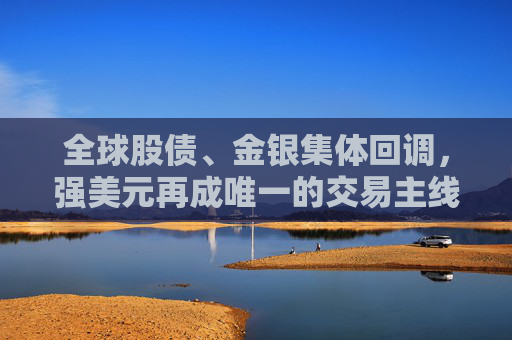 全球股债、金银集体回调，强美元再成唯一的交易主线