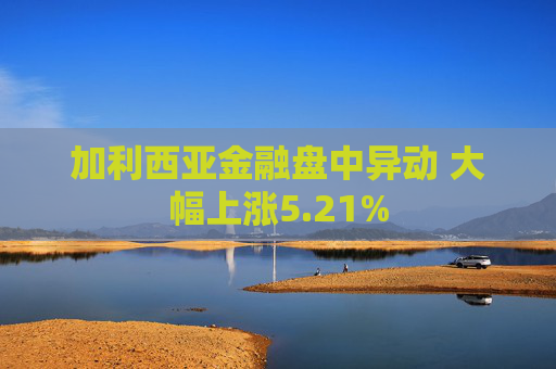 加利西亚金融盘中异动 大幅上涨5.21%