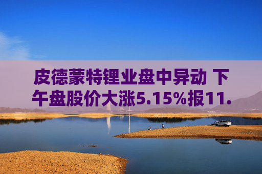 皮德蒙特锂业盘中异动 下午盘股价大涨5.15%报11.84美元