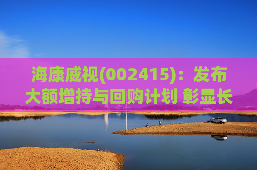 海康威视(002415)：发布大额增持与回购计划 彰显长期发展信心