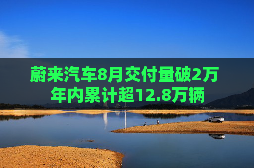 蔚来汽车8月交付量破2万 年内累计超12.8万辆