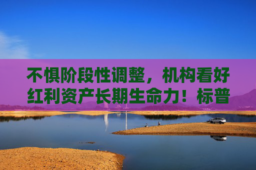 不惧阶段性调整，机构看好红利资产长期生命力！标普红利ETF（562060）成交额破2127万元