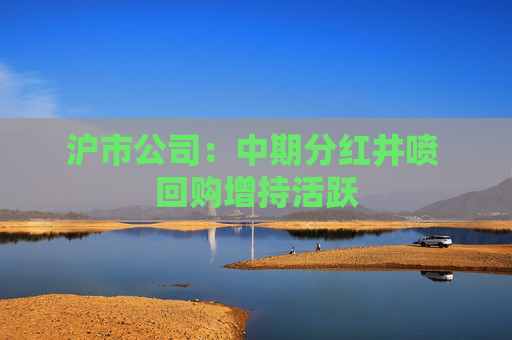 沪市公司：中期分红井喷 回购增持活跃