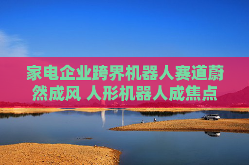 家电企业跨界机器人赛道蔚然成风 人形机器人成焦点