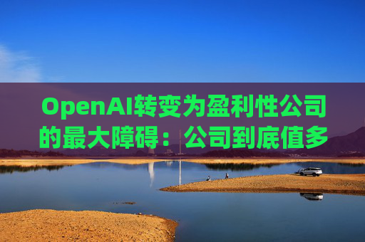 OpenAI转变为盈利性公司的最大障碍：公司到底值多少？