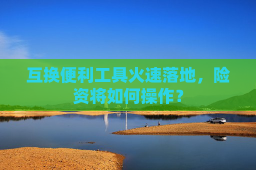 互换便利工具火速落地，险资将如何操作？