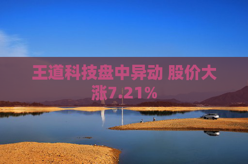 王道科技盘中异动 股价大涨7.21%