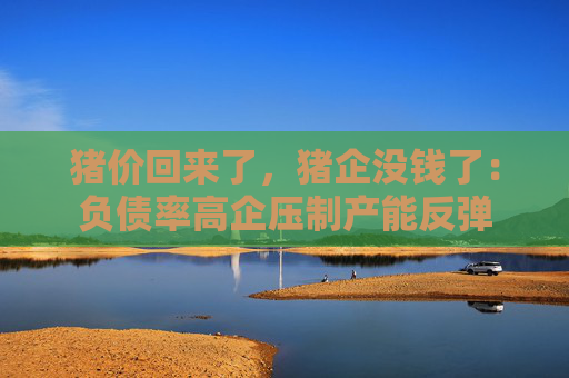 猪价回来了，猪企没钱了：负债率高企压制产能反弹