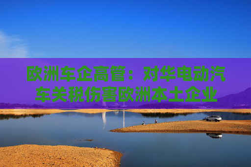 欧洲车企高管：对华电动汽车关税伤害欧洲本土企业