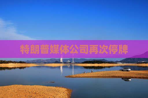 特朗普媒体公司再次停牌
