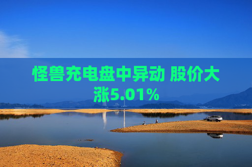 怪兽充电盘中异动 股价大涨5.01%