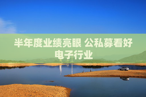 半年度业绩亮眼 公私募看好电子行业