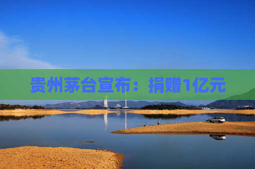 贵州茅台宣布：捐赠1亿元