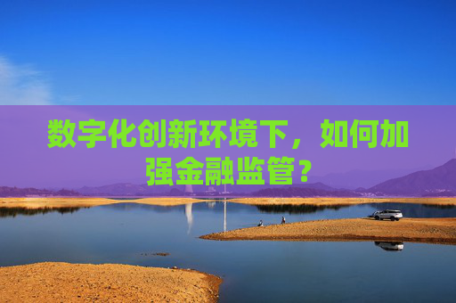 数字化创新环境下，如何加强金融监管？