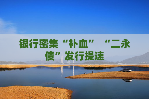 银行密集“补血” “二永债”发行提速
