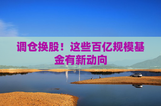 调仓换股！这些百亿规模基金有新动向
