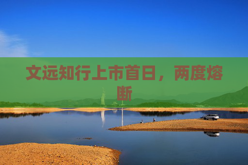 文远知行上市首日，两度熔断