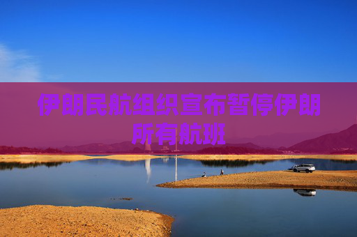 伊朗民航组织宣布暂停伊朗所有航班