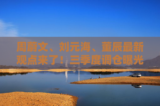 周蔚文、刘元海、董辰最新观点来了！三季度调仓曝光