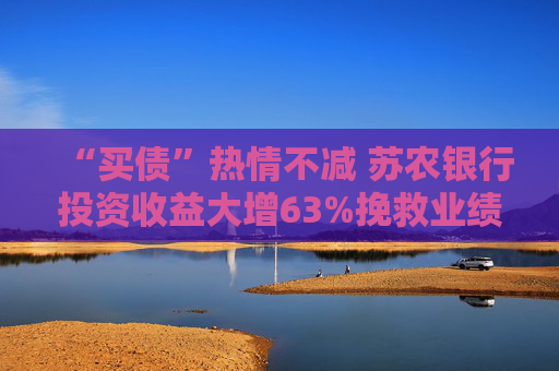 “买债”热情不减 苏农银行投资收益大增63%挽救业绩颓势