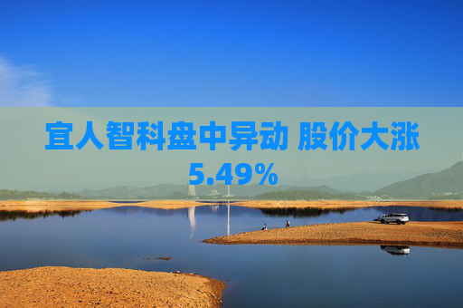 宜人智科盘中异动 股价大涨5.49%