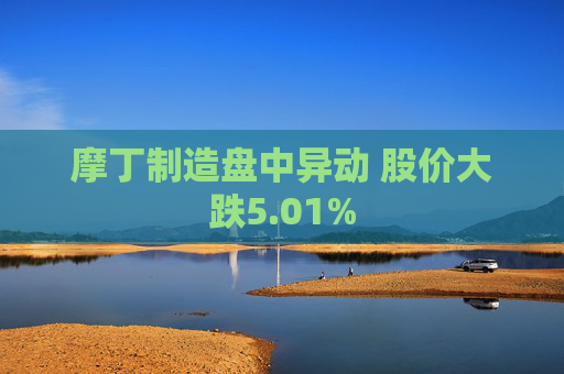 摩丁制造盘中异动 股价大跌5.01%