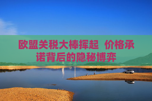 欧盟关税大棒挥起  价格承诺背后的隐秘博弈