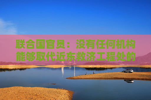 联合国官员：没有任何机构能够取代近东救济工程处的角色
