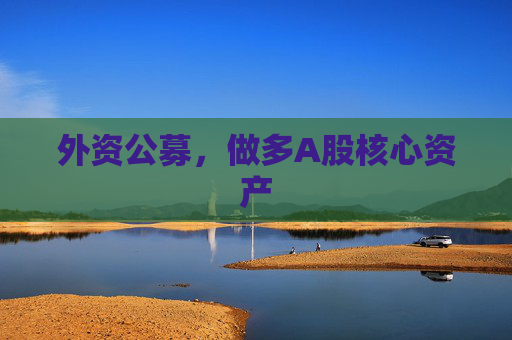 外资公募，做多A股核心资产
