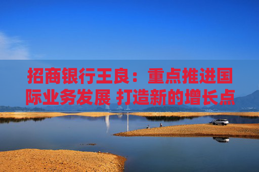 招商银行王良：重点推进国际业务发展 打造新的增长点