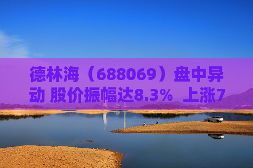 德林海（688069）盘中异动 股价振幅达8.3%  上涨7.71%（09-02）