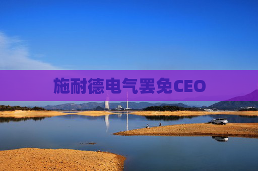 施耐德电气罢免CEO