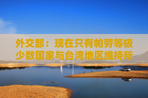 外交部：现在只有帕劳等极少数国家与台湾地区维持所谓“邦交关系”，必须予以纠正