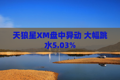 天狼星XM盘中异动 大幅跳水5.03%