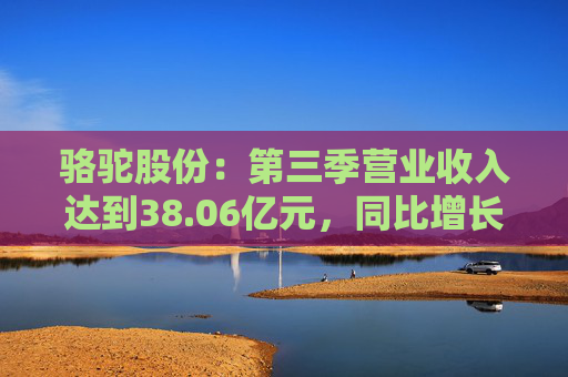 骆驼股份：第三季营业收入达到38.06亿元，同比增长0.68%