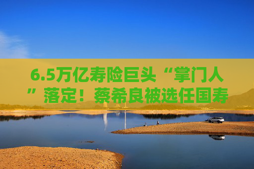 6.5万亿寿险巨头“掌门人”落定！蔡希良被选任国寿寿险新一任董事长