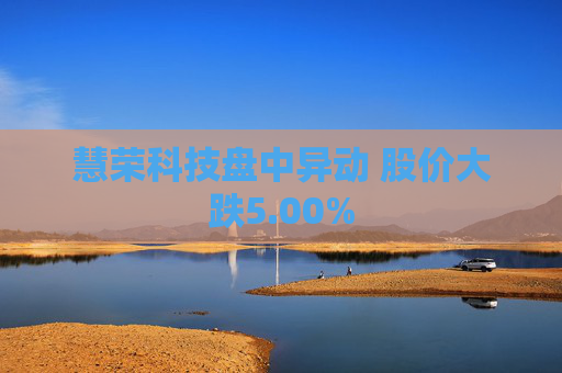 慧荣科技盘中异动 股价大跌5.00%