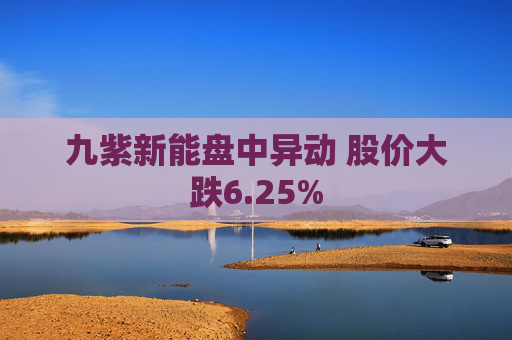 九紫新能盘中异动 股价大跌6.25%